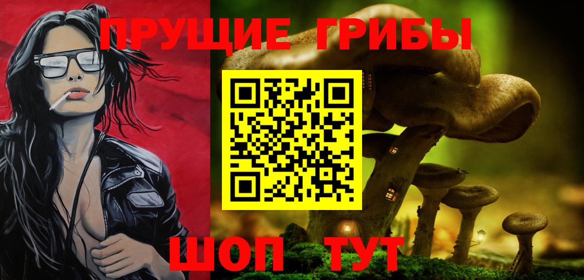 Коряжма  Псилоцибиновые грибы Magic Shrooms  Вход с VPN  Галлюциногенные грибы Psilocybine cubensis 